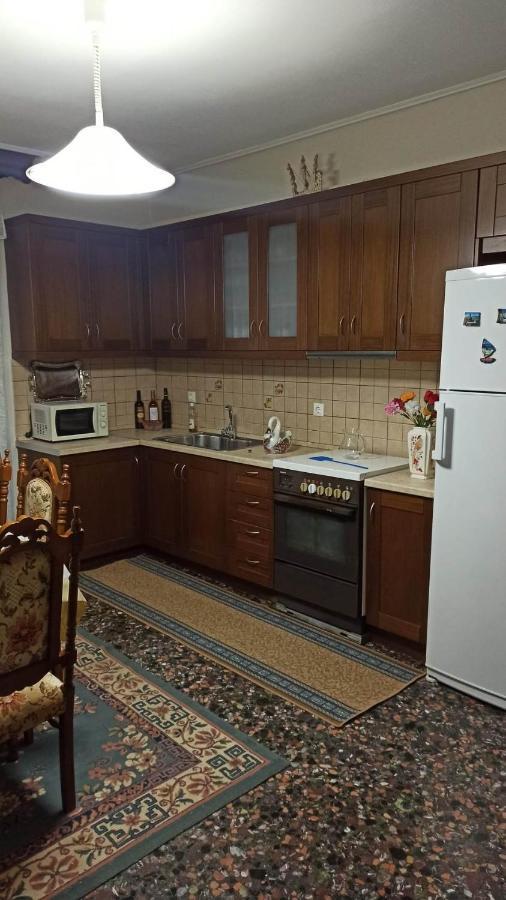 特里卡拉Panourgia'S House公寓 外观 照片