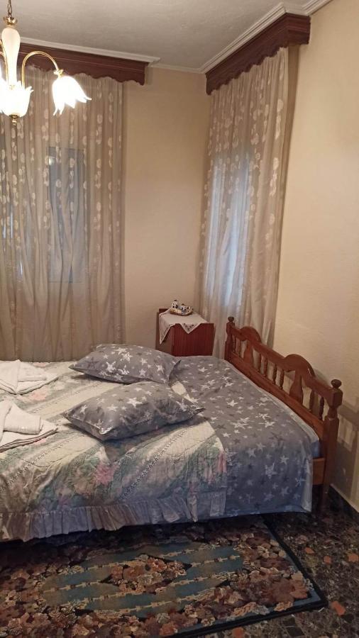 特里卡拉Panourgia'S House公寓 外观 照片